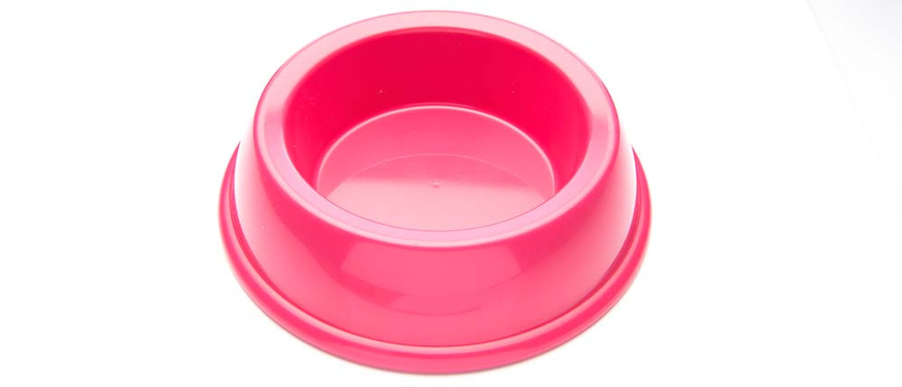 BPMA Sustainable Product Of The Year – Recycled Chewing Gum Pet Bowls!